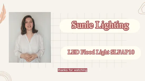 LED projecteur 10W 20W 30W 50W 100W 220V projecteurs applique IP65 étanche blanc réflecteur LED extérieur projecteur